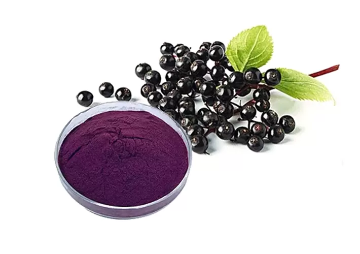 H2-Anthooxi Elderberry Extract