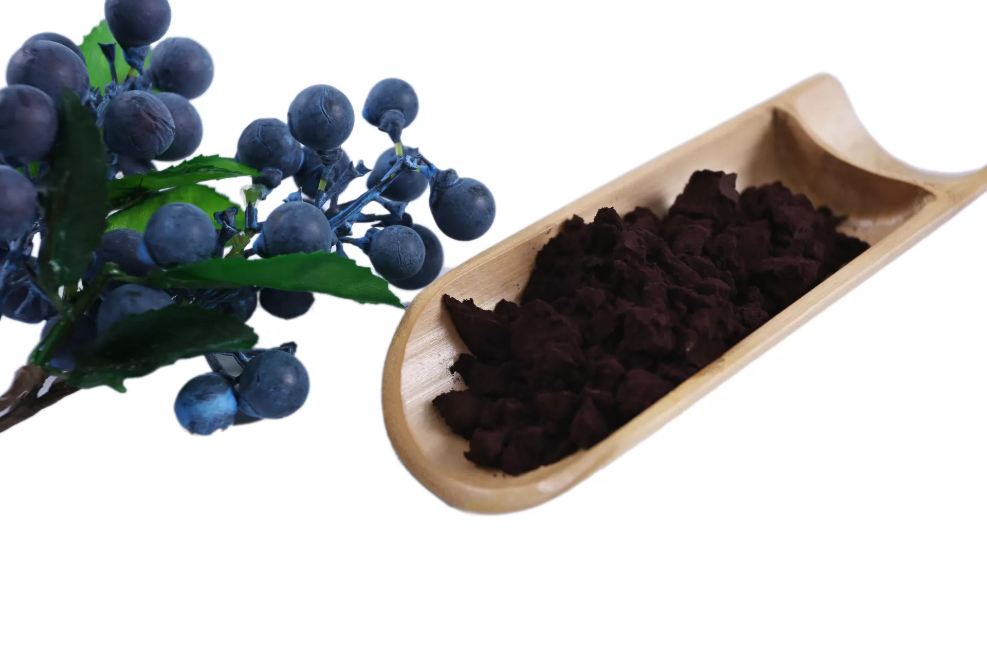 Introduction to the main functions and effective nutrients of blueberry extract