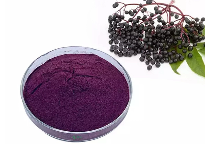 H2-Anthooxi Elderberry Extract