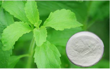 Application of Stevia Extract in Beverages